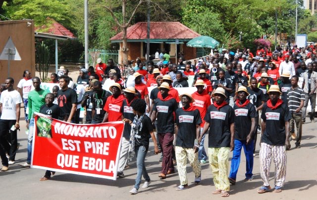 In 2015 protests were organised in Burkina Faso to say ‘no’ to Monsanto and GM cotton.CREDIT: Burkina 24