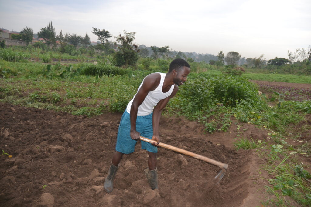 A subsistence farmer tills his land at Kiwanga village in Uganda’s Mukono district. Activists fear that the corporate takeover of Africa’s seed and food systems through GM crops would adversely affect such farmers. CREDIT: Belinda Nabude