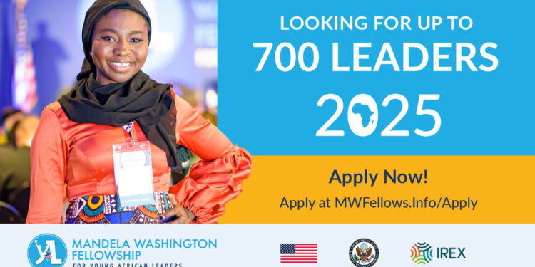 Fellowship Opportunities for Young Africans