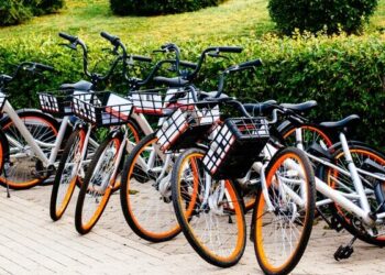 Opportunities to Apply for in January 2025