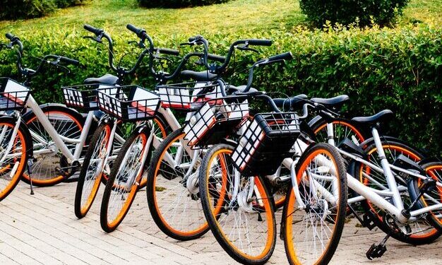 Opportunities to Apply for in January 2025