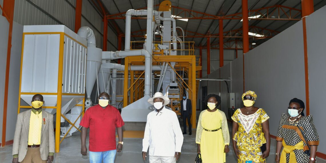 Eng. Joel Aita: How to Stand on the Shoulders of Mentors to Succeed as an Entrepreneur