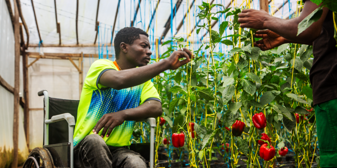 Greenhouse farming changed his life