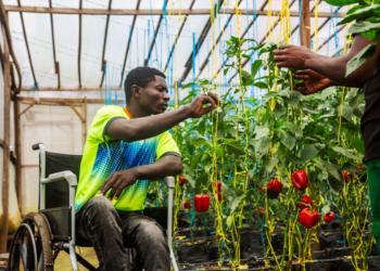 Greenhouse farming changed his life